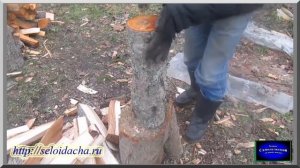 Как правильно колоть дрова колуном. Колка дров своими руками