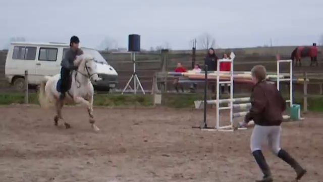 équitation concours d'obstacle de Pied Bercy смотреть онлайн