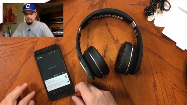 ZOMBIES CAT BLUETOOTH HEADPHONES ( spoiler they're awesome ) смотреть онлайн