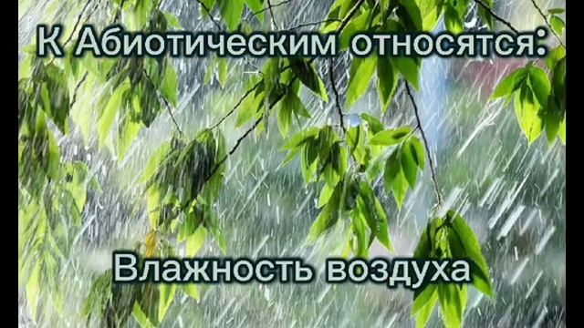 Экологические факторы. Типы экологических факторов смотреть онлайн