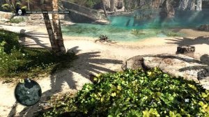 Assassin's Creed IV - Black Flag - Карта Сокровищ 502,44