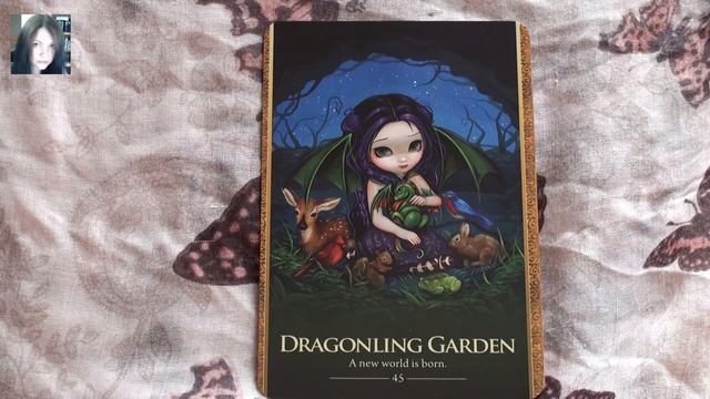 Shapeshifter Oracle - Dragonling Garden смотреть онлайн