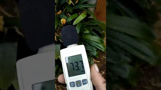 Testing studio with dB meter смотреть онлайн