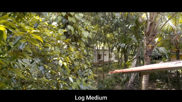 Open Camera : All 12 Video color profiles for video Recording (including Log) Compared. смотреть онлайн
