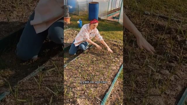 Какой ширины выбрать грядки смотреть онлайн