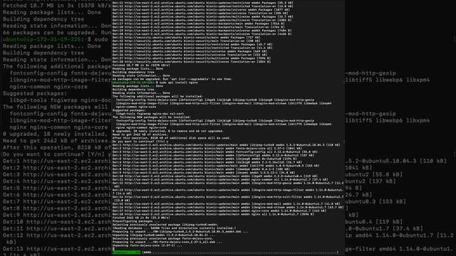 2 - Instalando o Nginx no servidor Ubuntu Linux AWS смотреть онлайн