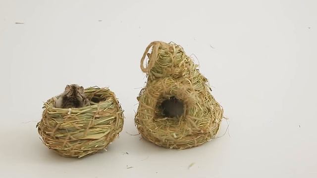 Товары для животных Amarohome смотреть онлайн