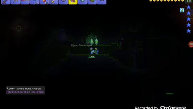 Terraria с другом смотреть онлайн