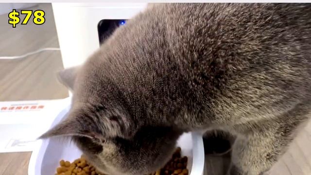 Смотри что я нашёл на Алиэкспресс! 15 Удивительных находок для дома. Гаджеты и девайсы с Aliexpress смотреть онлайн