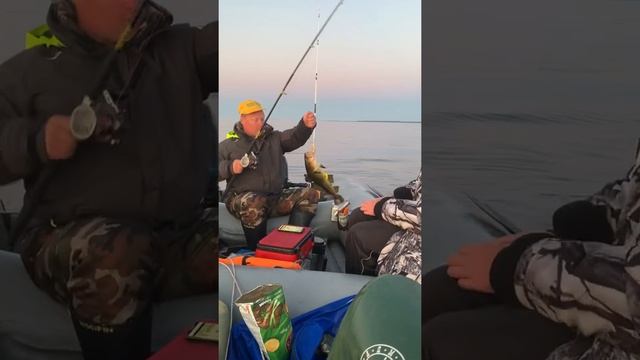 Рыбалка в Гридино Карелия смотреть онлайн