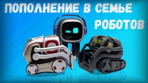 Пополнение в семье роботов - робот Vector!
