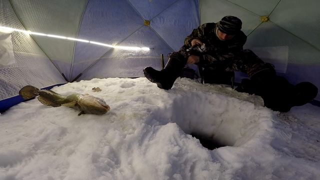 Налим на стук! Бог любит троицу! смотреть онлайн