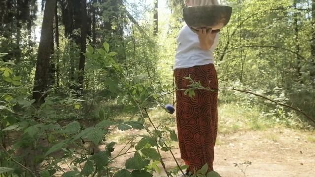 Сегодня решили посетить волшебный лес. Прекрасное времяпровождение! смотреть онлайн