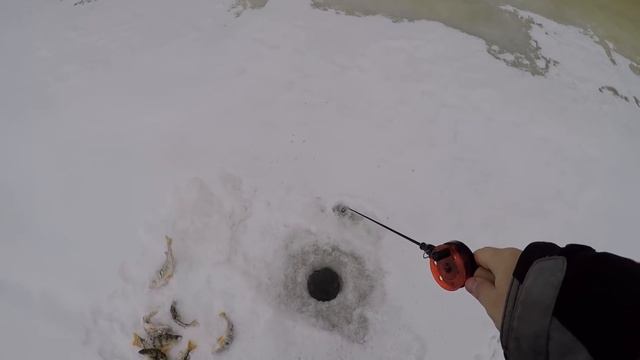 Как раскачать окуневую лунку? Ловля окуня на балансир : Рыболовный дневник смотреть онлайн