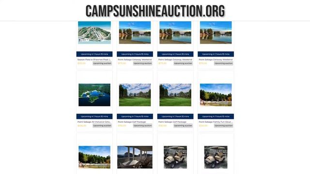 Camp Sunshine Auction - Help Raise Money For Camp Sunshine! смотреть онлайн
