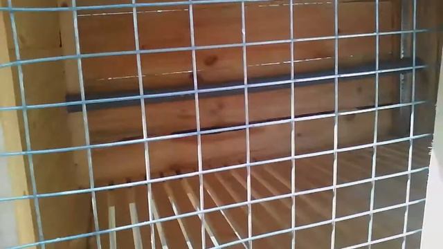 Мои первые кролики калифорния и серый великан.(БЕЛЫЙ КРОЛИК) смотреть онлайн