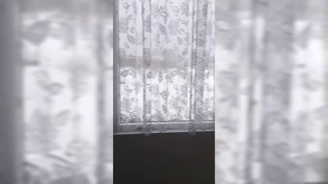 1 к квартира на Поленова 6, г Обнинск смотреть онлайн