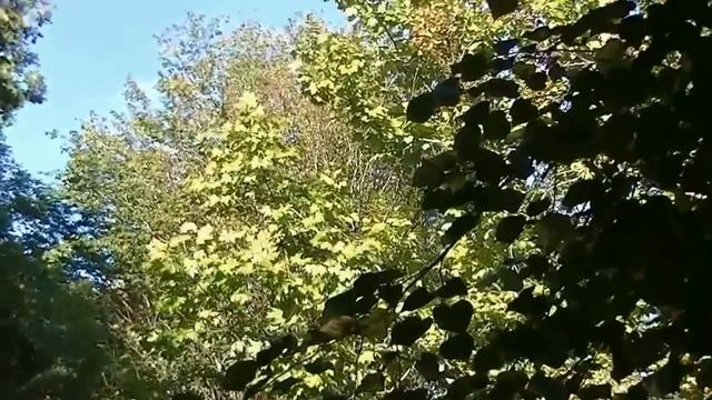 Каньон Окаце - достопримечательность Грузии смотреть онлайн