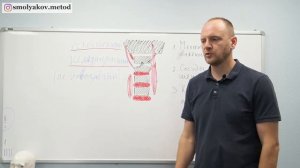 Коррекции атланта - метод Смолякова - что это такое из чего состоит, основы