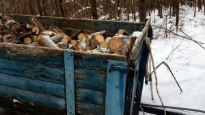 Поездка в лес за дровами на т-40