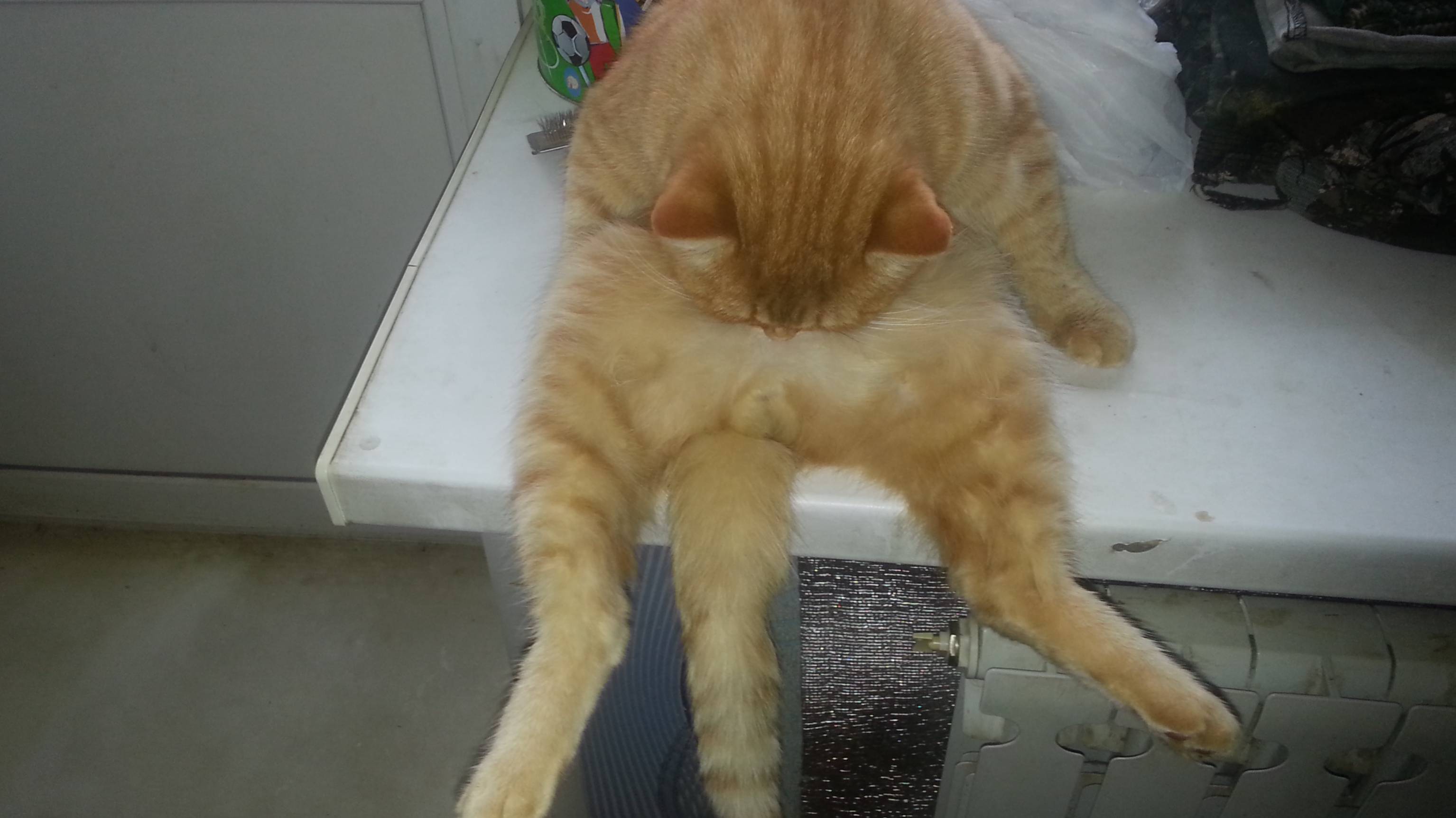 В домике смотреть онлайн