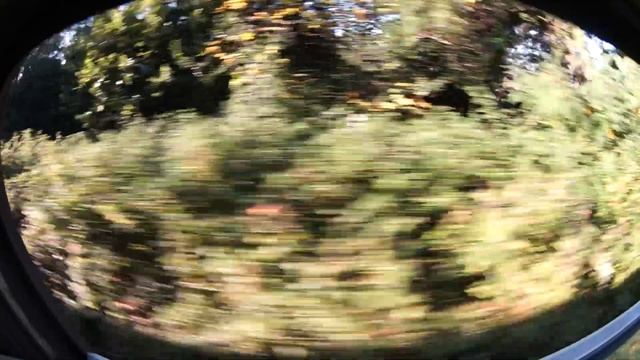 на поезде от Псоу до Гагры смотреть онлайн