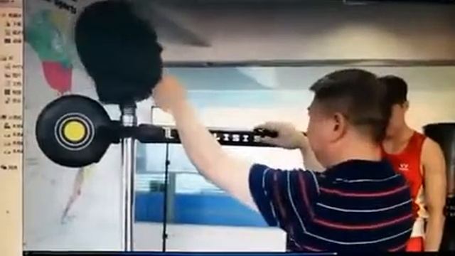 Speed Reflex Trainer/Boxing Target смотреть онлайн