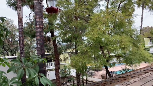 КАРАНТИН в Сан Диего смотреть онлайн