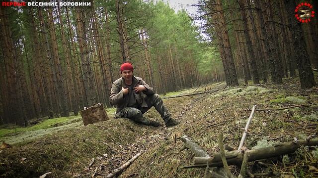 Первые весенние боровики пошли в мае! смотреть онлайн