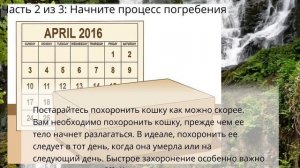 Как похоронить кошку