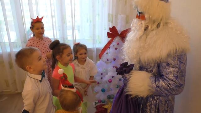 Дед Мороз и Снегурочка - пудель и свинка))) 23.12.2018 смотреть онлайн