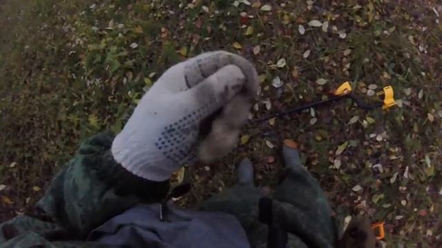 Купили аську 150 за 4000 рублей! Самая дешёвая аська! смотреть онлайн