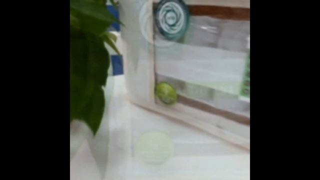 Серия Healthy Life смотреть онлайн