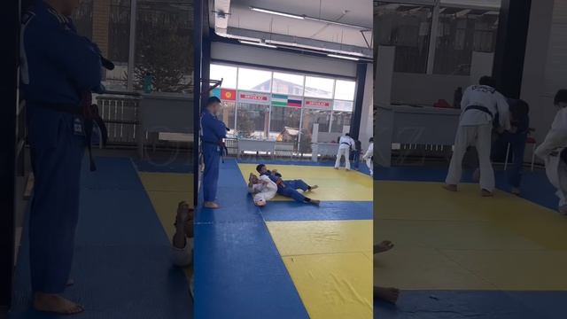 Совместный день борьбы по дзюдо школы ORTUS.KZ. Дзюдо в Астане, тренер Пак Сергей Александрович. смотреть онлайн