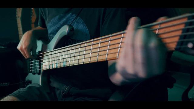 ZaKrahe - Stargazer (Bass Playthrough) Ibanez EHB1006MS смотреть онлайн