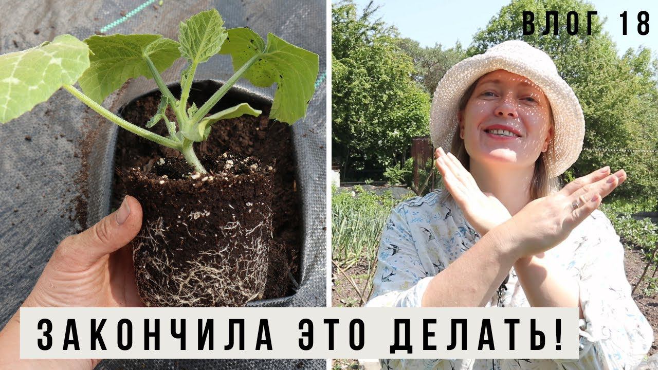 Рекордно рано закончила всю высадку в этом году! Влог 18 смотреть онлайн