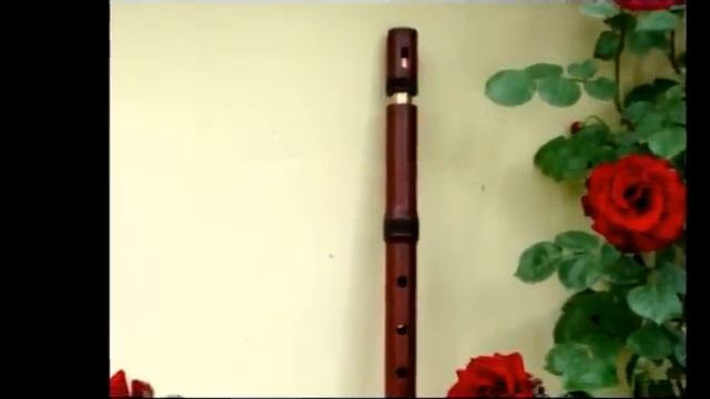 Hayk Tarverdyan. Armenian New Flute www.araratfolk.com смотреть онлайн