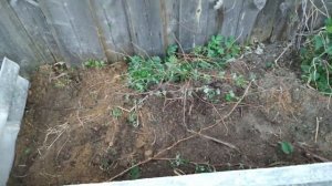 Красивые грядки из старого шифера - ЛЕГКО! Как сделать грядки из шифера.