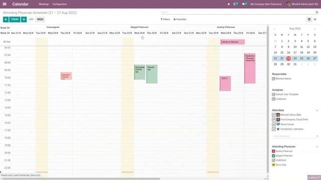 Odoo Attending Physician / Doctor Scheduler | FullCalendar Scheduler Resource | Odoo Support by MAC смотреть онлайн