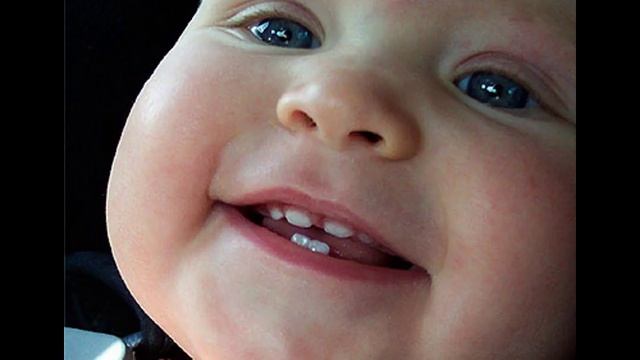 Как я вырастил новые зубы (Михаил Столбов) смотреть онлайн