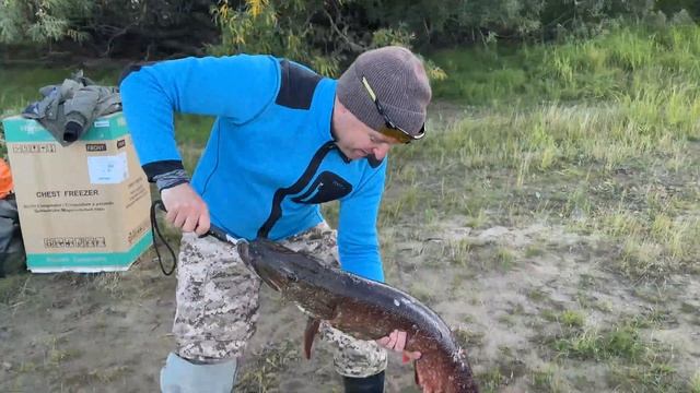 Рыбалка на Северной Сосьве смотреть онлайн