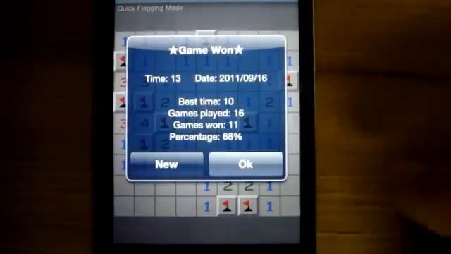 Minesweeper Q - Beginner смотреть онлайн