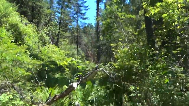 Телецкое водопад рядом с Золотым Озером 2 / Teletskoye waterfall смотреть онлайн