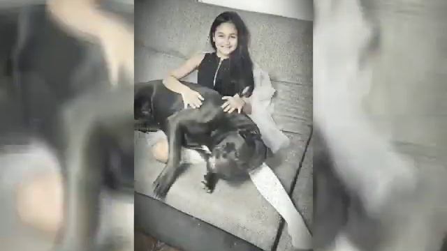 Я и моя любимица, кане-корсо смотреть онлайн