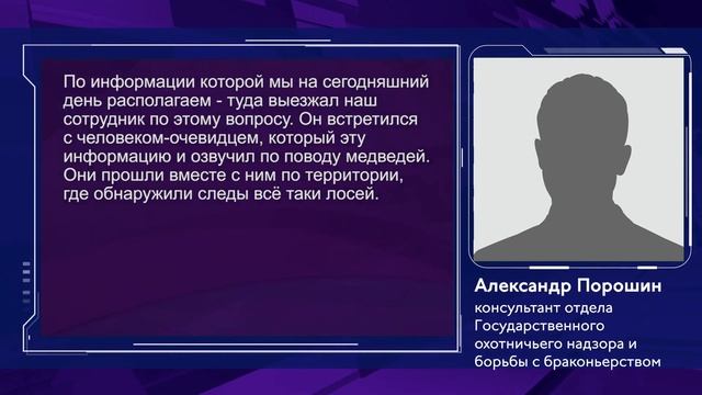 Лоси в Каменном городе смотреть онлайн