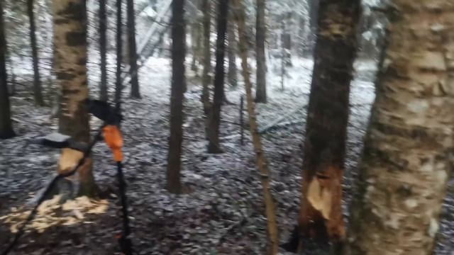 ИСКАЛ ДОМОНГОЛЬСКУЮ ПОСЕЛУХУ В ЛЕСУ, А НАШЁЛ МОНЕТУ МОЕЙ МЕЧТЫ ? смотреть онлайн