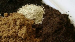 Идеальный грунт для рассады: как его приготовить, почва для рассады, компост, перегной, песок