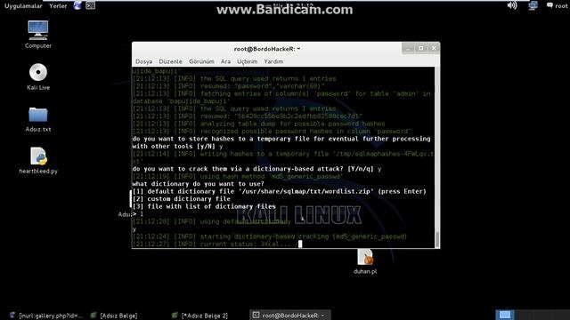 Kali Linux Sqlmap смотреть онлайн