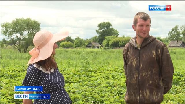Дальневосточным землевладельцам объявили амнистию смотреть онлайн