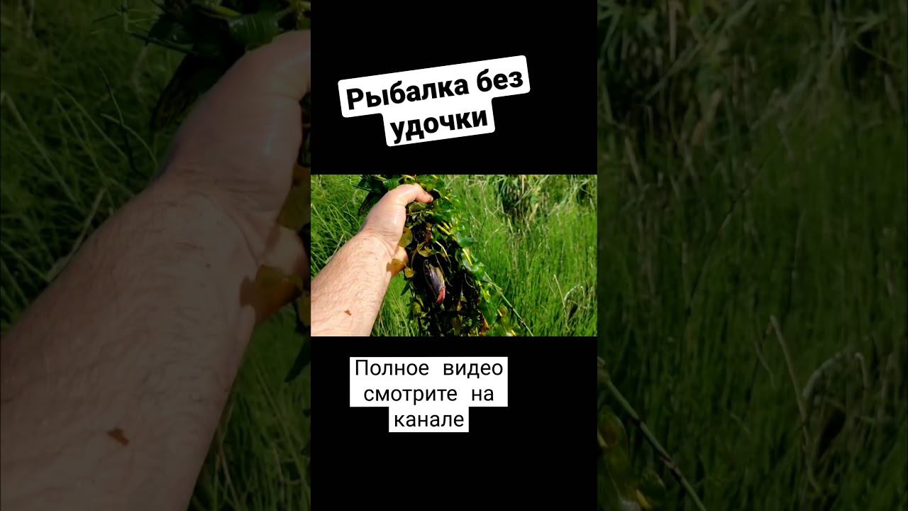 Рыбалка без удочки. Щука смотреть онлайн